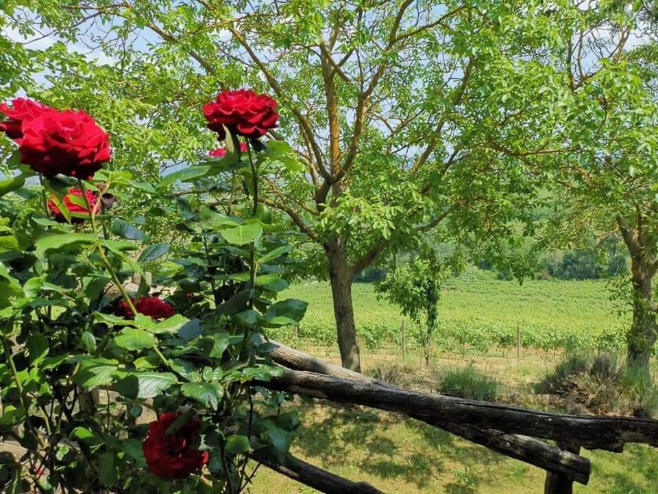 Cascina Valtignosa Camere Con Vigna Cassine Dış mekan fotoğraf