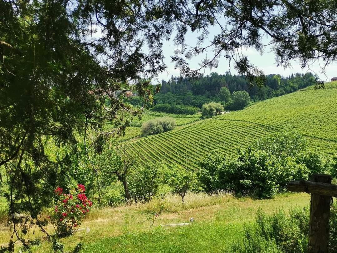 Cascina Valtignosa Camere Con Vigna Cassine Dış mekan fotoğraf