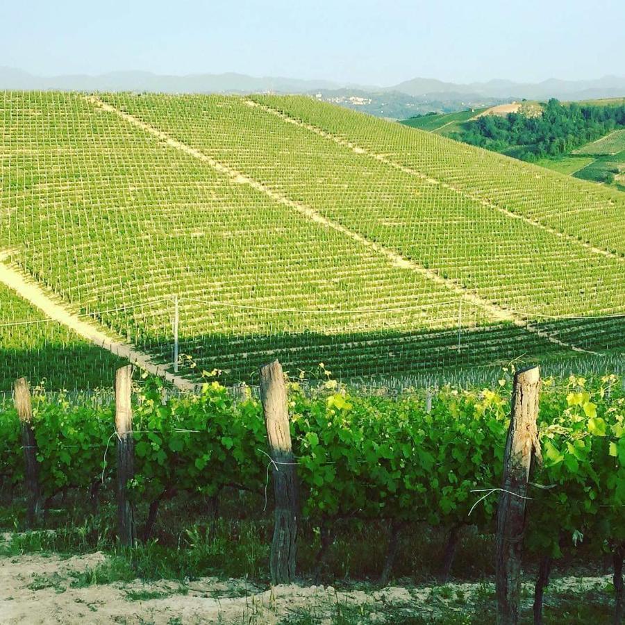 Cascina Valtignosa Camere Con Vigna Cassine Dış mekan fotoğraf