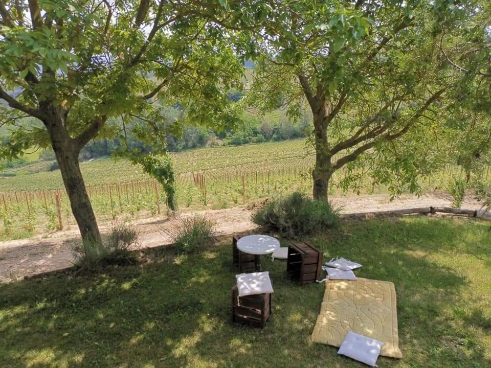 Cascina Valtignosa Camere Con Vigna Cassine Dış mekan fotoğraf