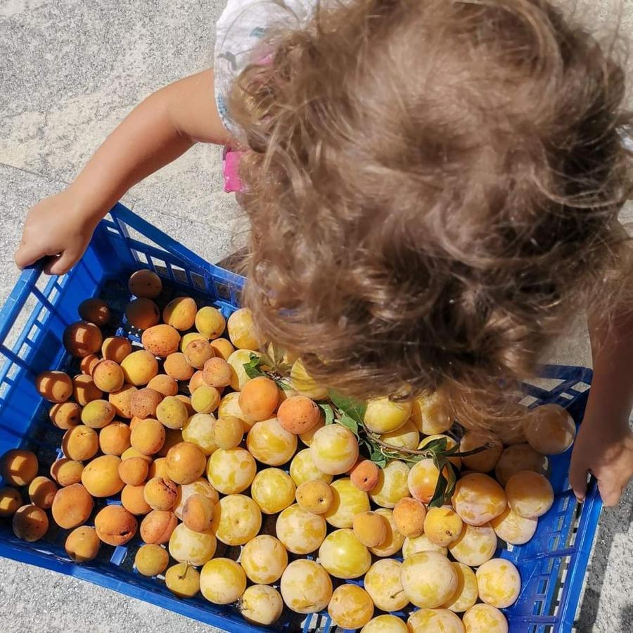 Cascina Valtignosa Camere Con Vigna Cassine Dış mekan fotoğraf
