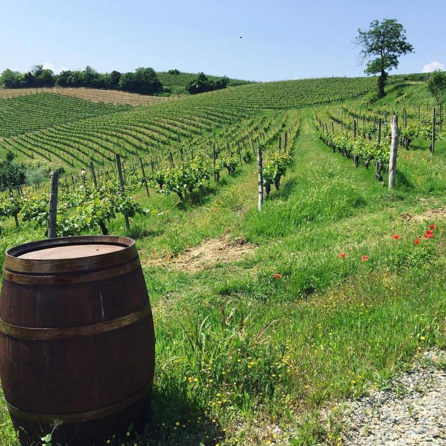 Cascina Valtignosa Camere Con Vigna Cassine Dış mekan fotoğraf