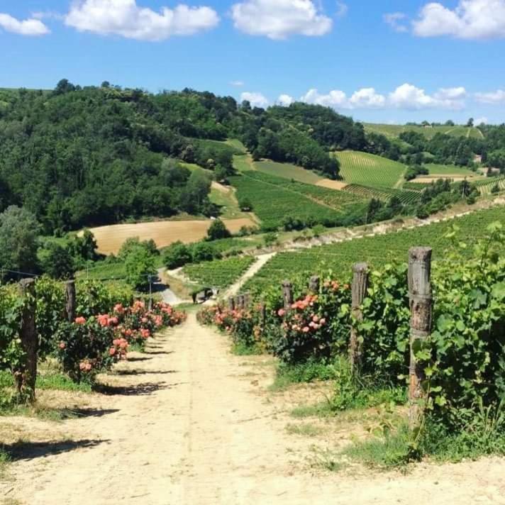 Cascina Valtignosa Camere Con Vigna Cassine Dış mekan fotoğraf