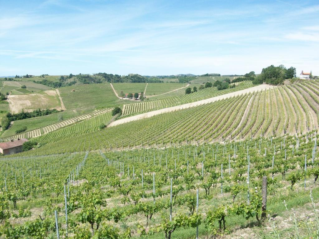 Cascina Valtignosa Camere Con Vigna Cassine Dış mekan fotoğraf