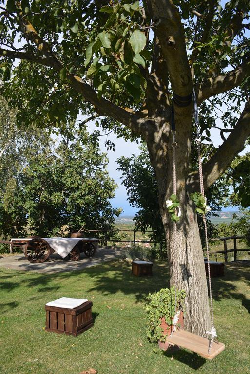 Cascina Valtignosa Camere Con Vigna Cassine Dış mekan fotoğraf