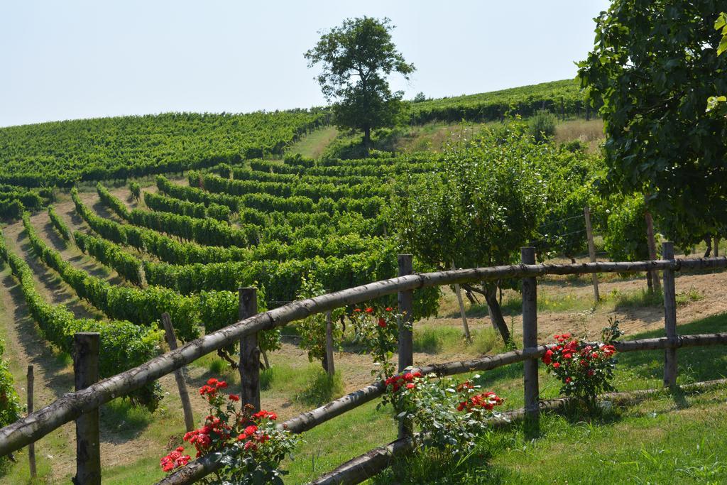 Cascina Valtignosa Camere Con Vigna Cassine Dış mekan fotoğraf