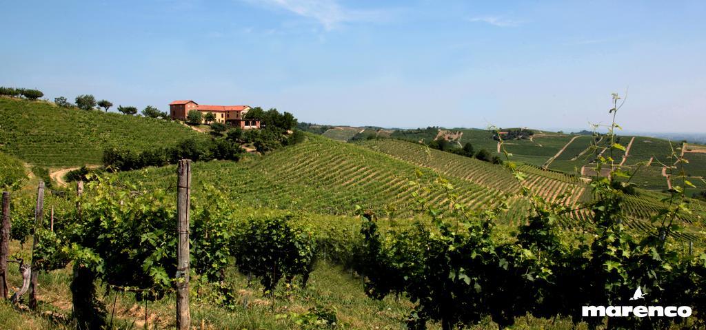 Cascina Valtignosa Camere Con Vigna Cassine Dış mekan fotoğraf