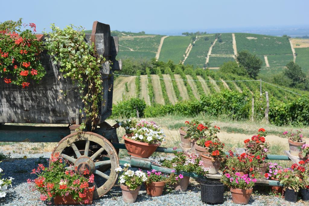 Cascina Valtignosa Camere Con Vigna Cassine Dış mekan fotoğraf