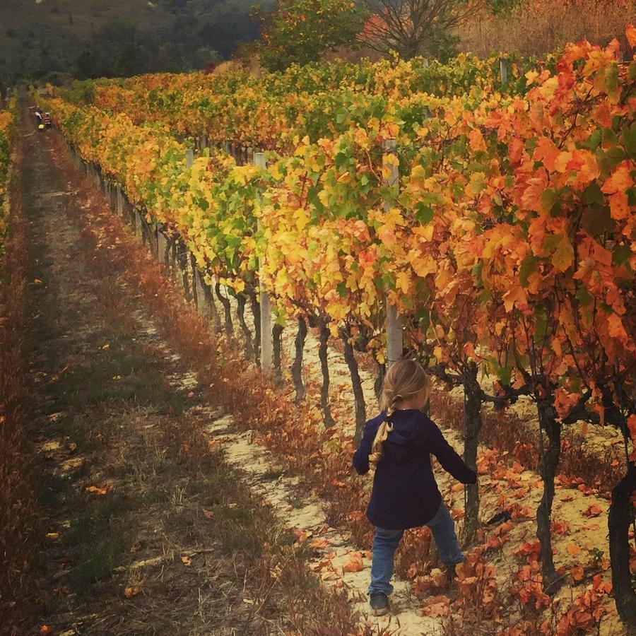 Cascina Valtignosa Camere Con Vigna Cassine Dış mekan fotoğraf