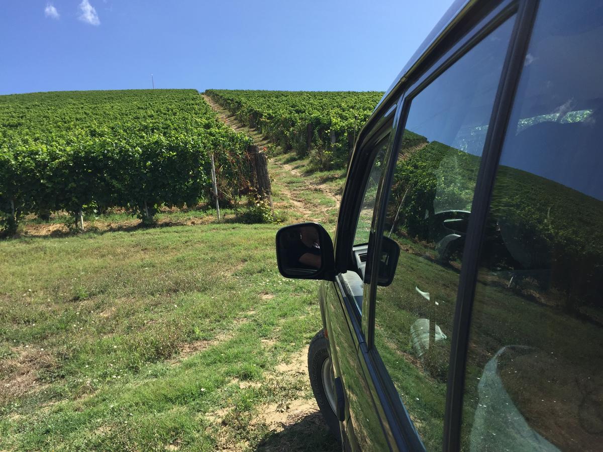 Cascina Valtignosa Camere Con Vigna Cassine Dış mekan fotoğraf
