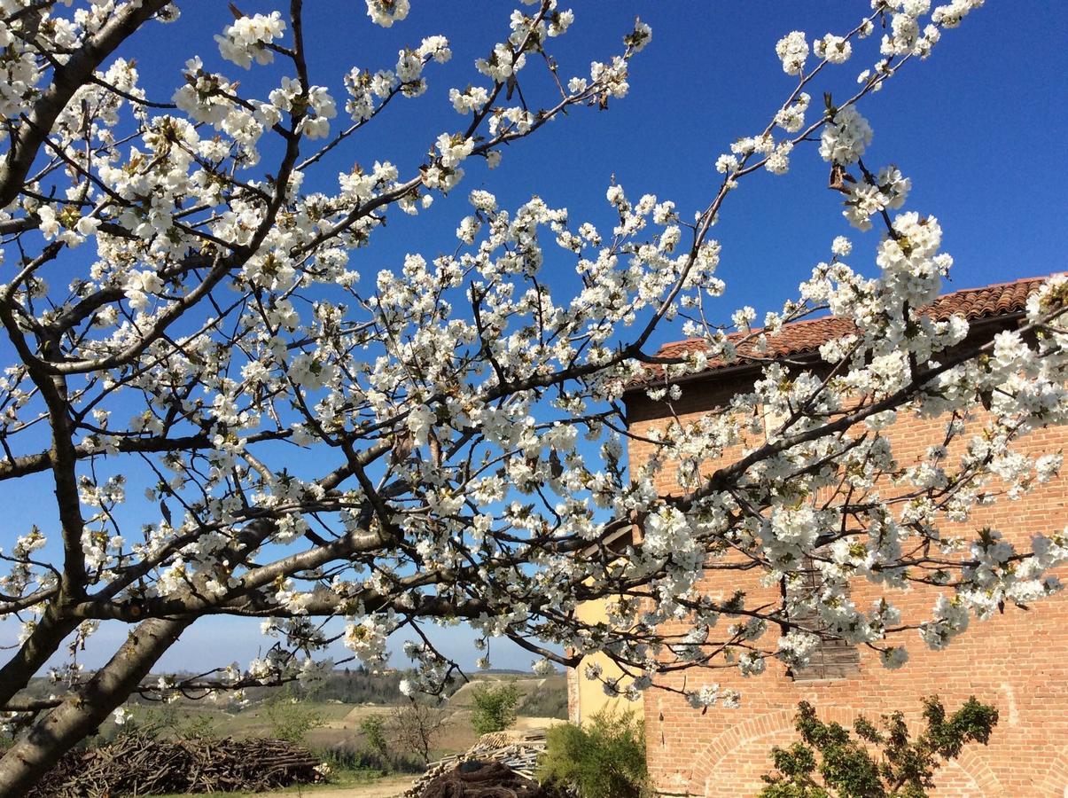 Cascina Valtignosa Camere Con Vigna Cassine Dış mekan fotoğraf